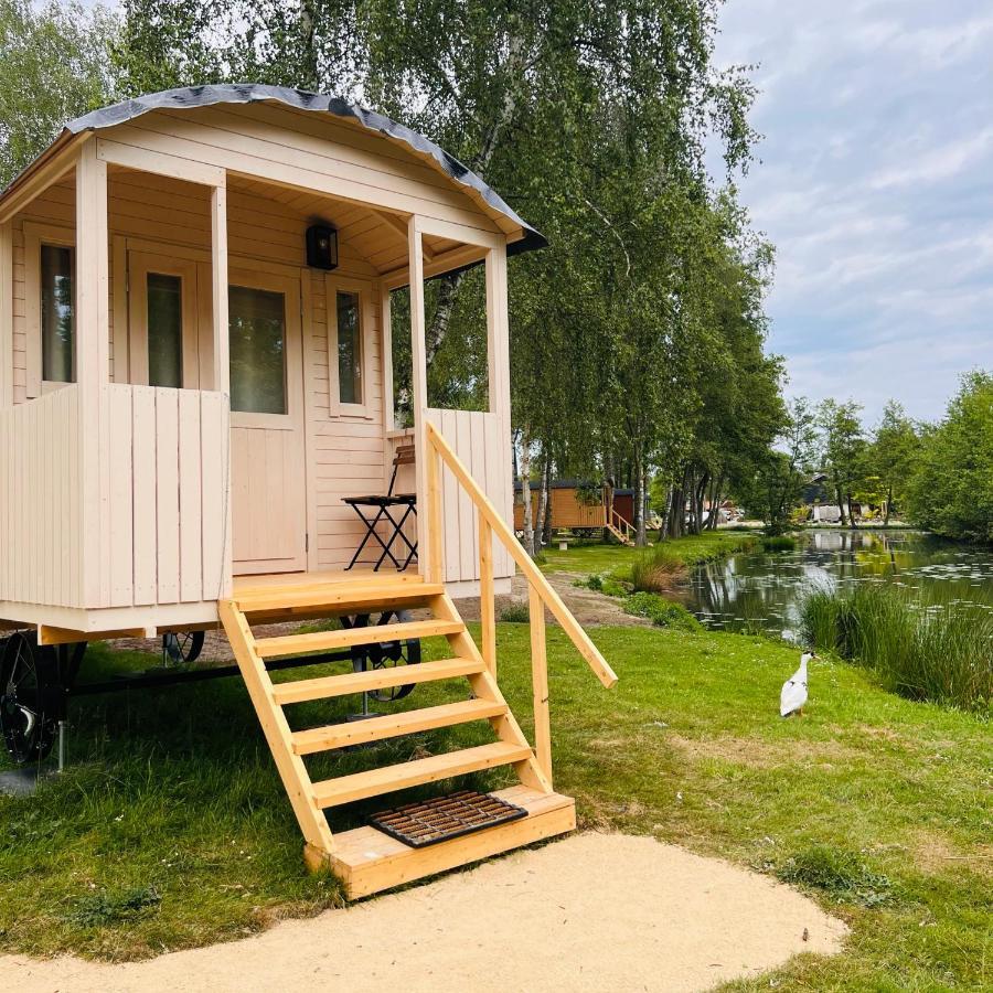 Glamping Limburg - Nabij Nationaal Park Hoge Kempen Kinrooi Exteriör bild
